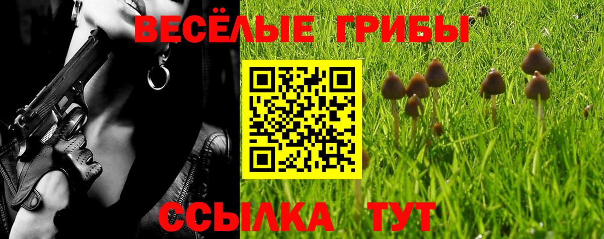 Галлюциногенные грибы Cubensis  Вход с VPN  Нововоронеж 